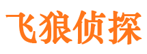 沿滩外遇调查取证